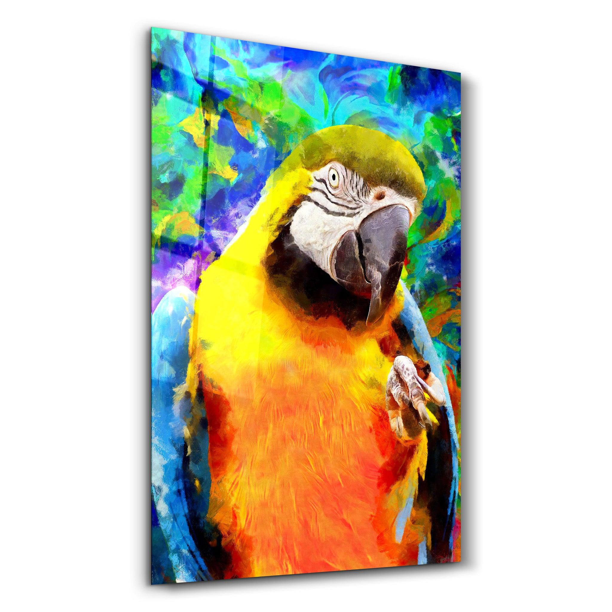 Colorful Parrot | Glass Wall Art - Artdesigna