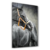The Yellow Reins | Glass Wall Art