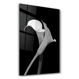 Arum Lily | Glass Wall Art
