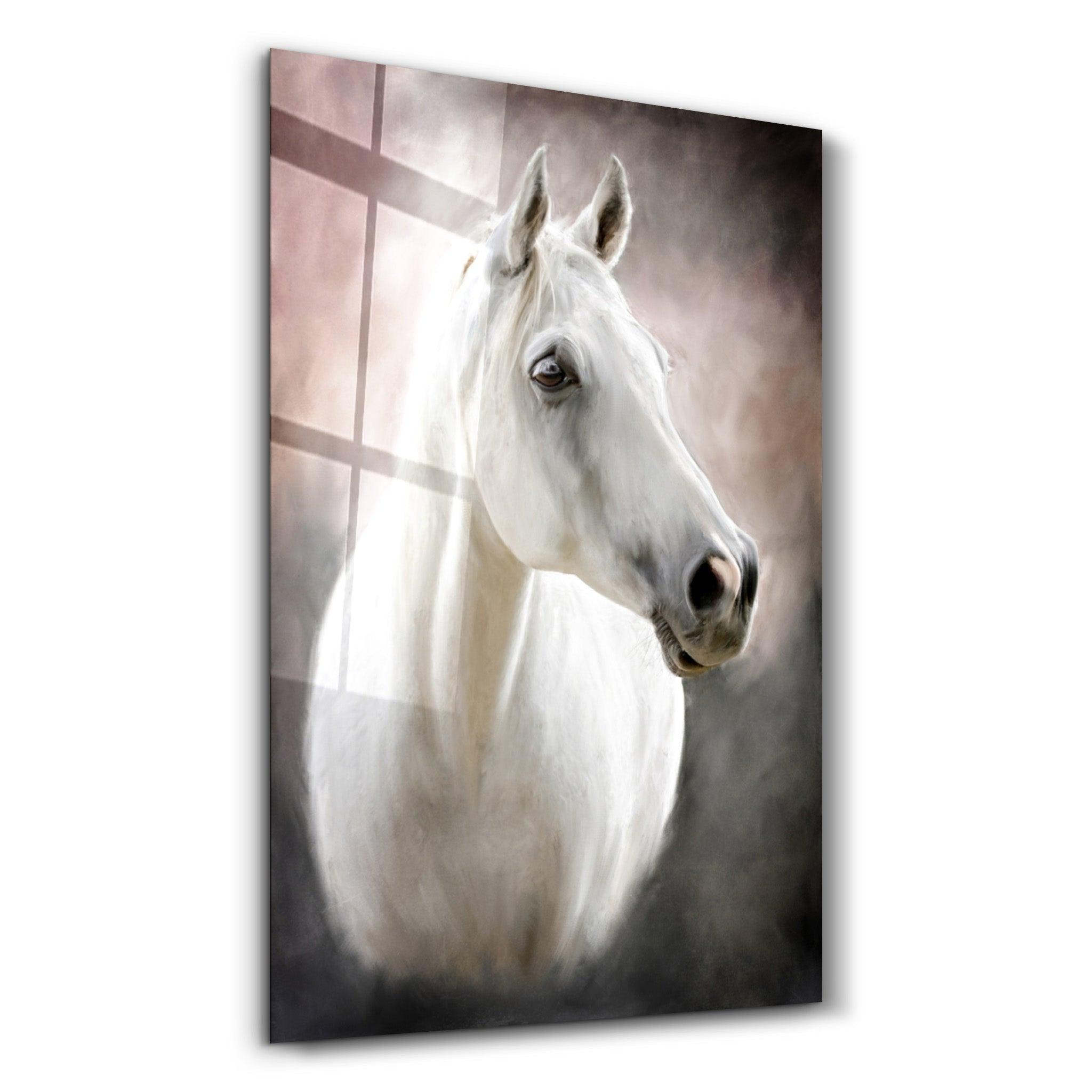 Horse | Glass Wall Art - Artdesigna