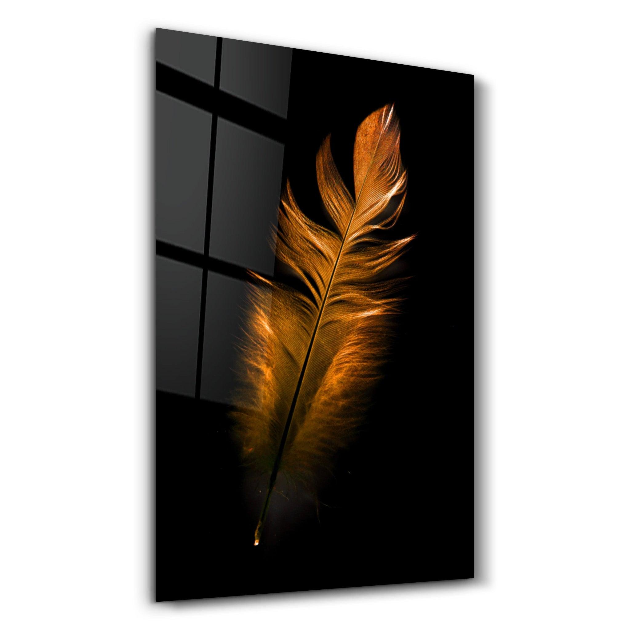 Orange Feather | Glass Wall Art - Artdesigna