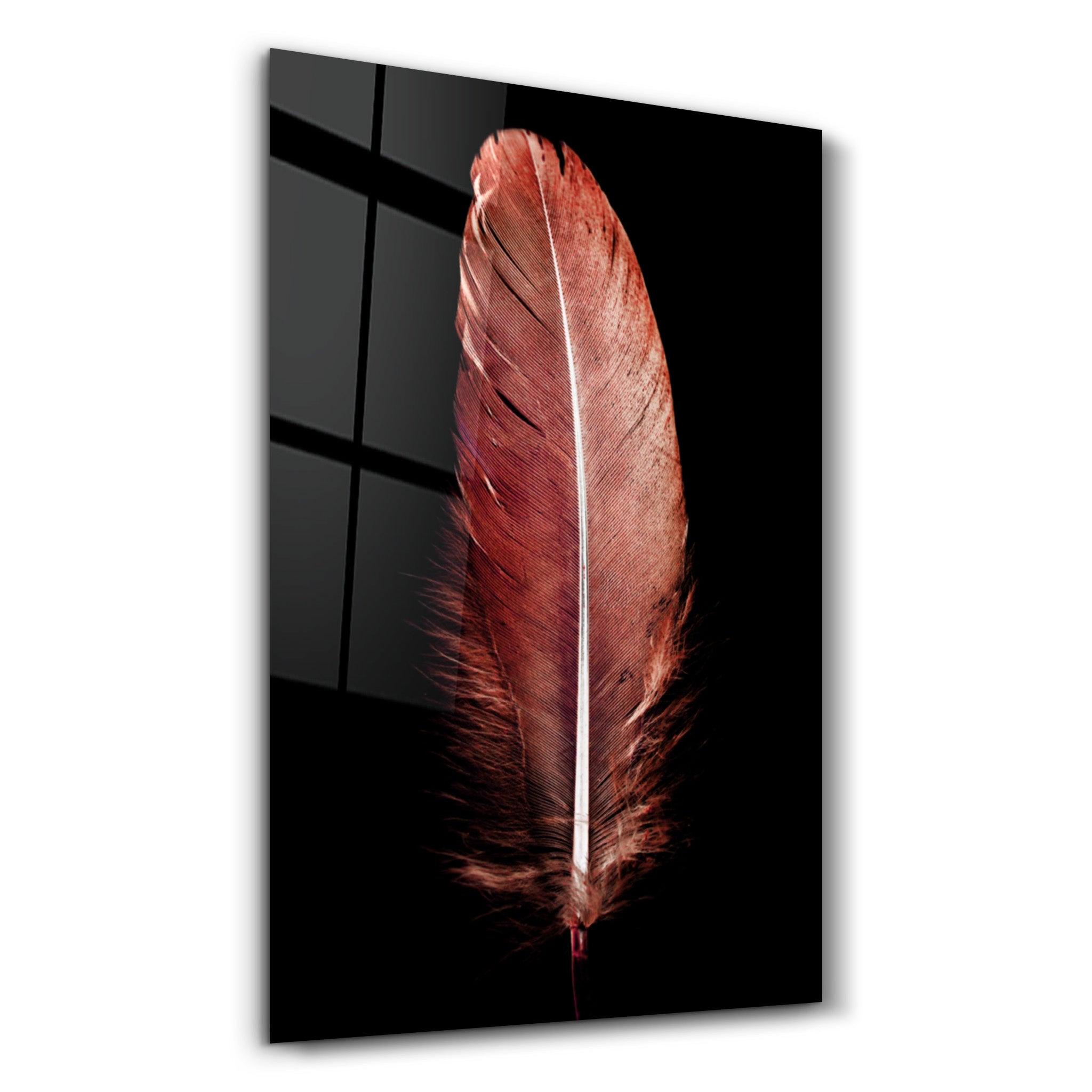 Colorful Feather V2 | Glass Wall Art - Artdesigna