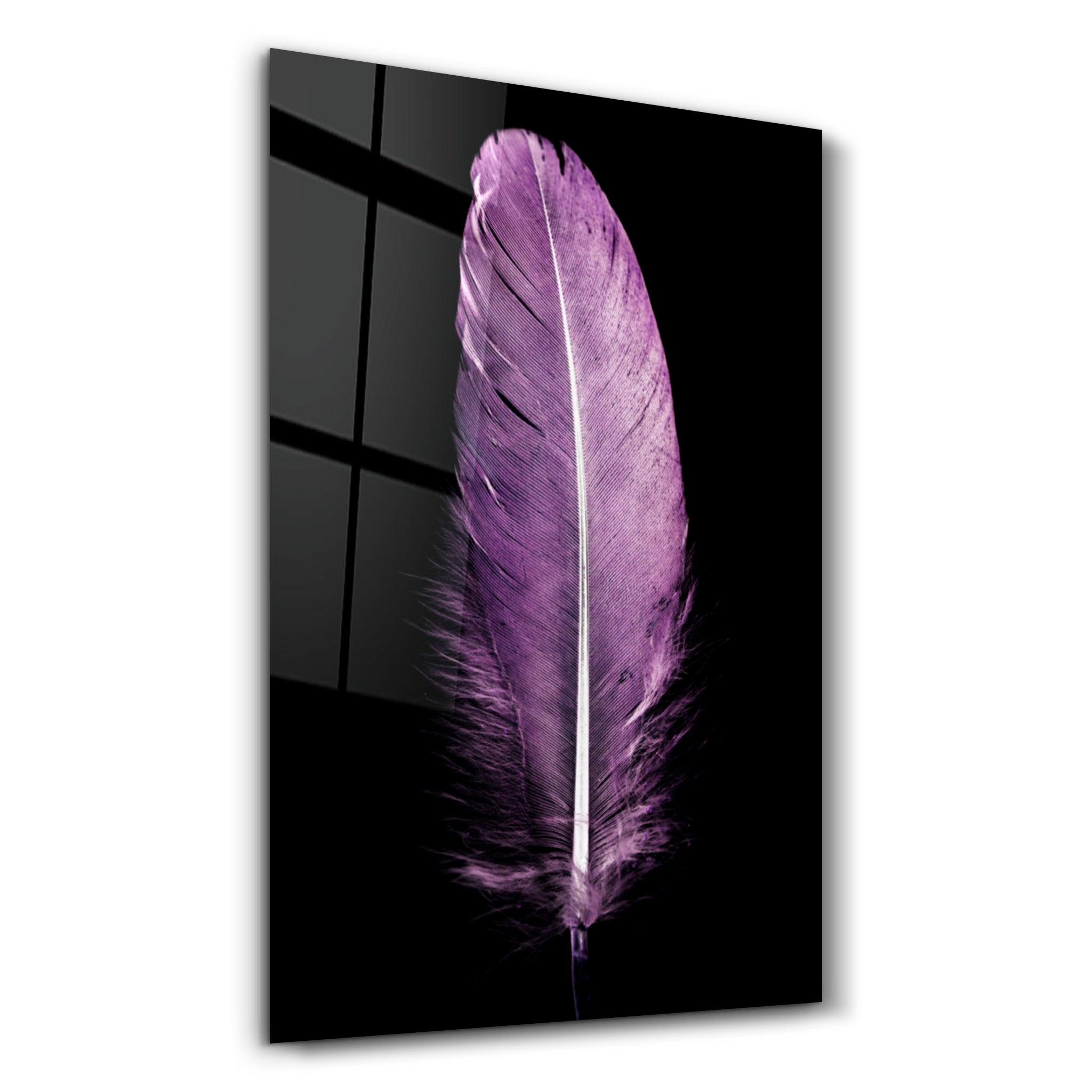 Colorful Feather V3 | Glass Wall Art - Artdesigna