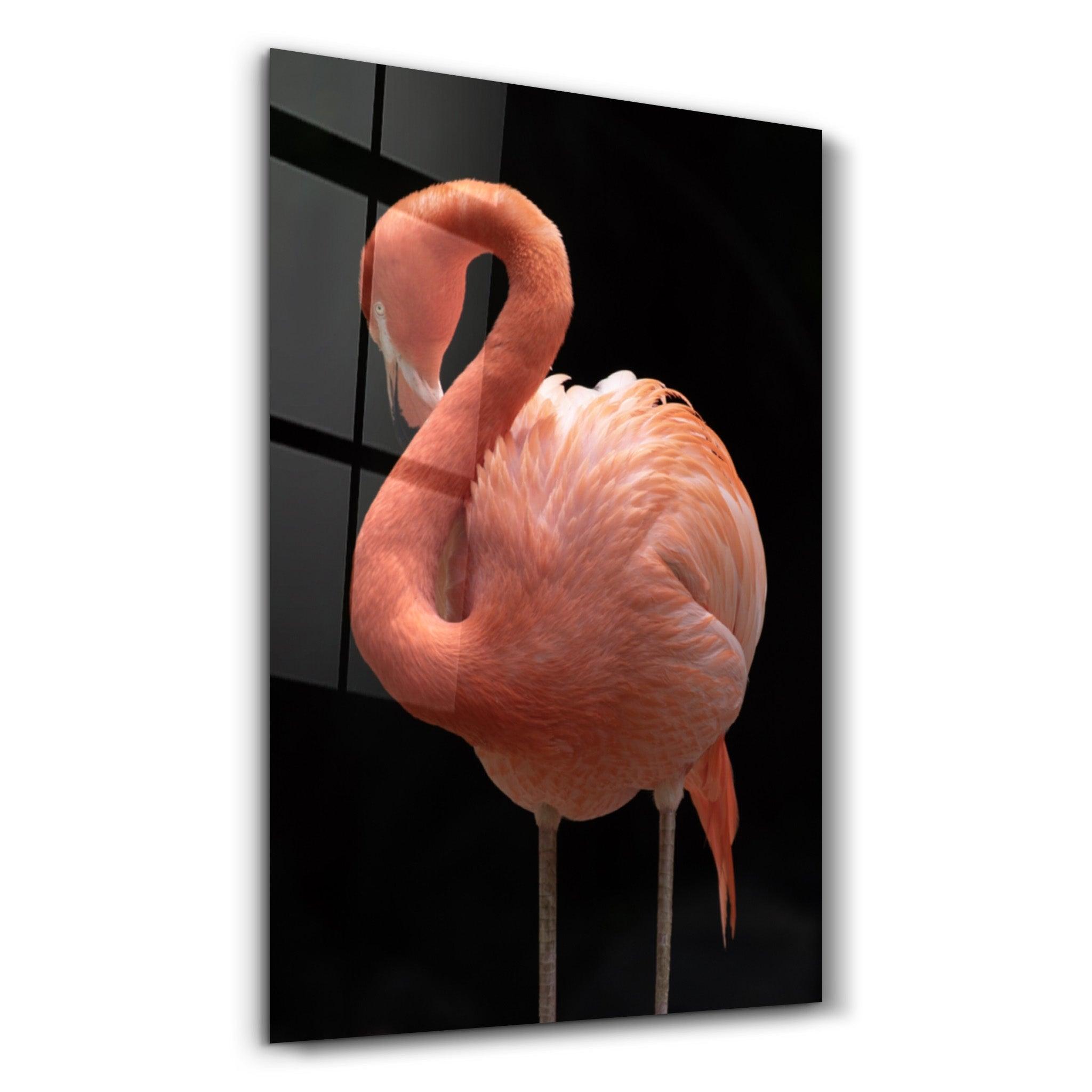 Flamingo V2 | Glass Wall Art - Artdesigna