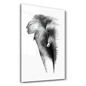 Elephant V2 | Glass Wall Art - Artdesigna