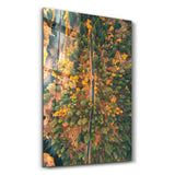 California, USA | Glass Wall Art