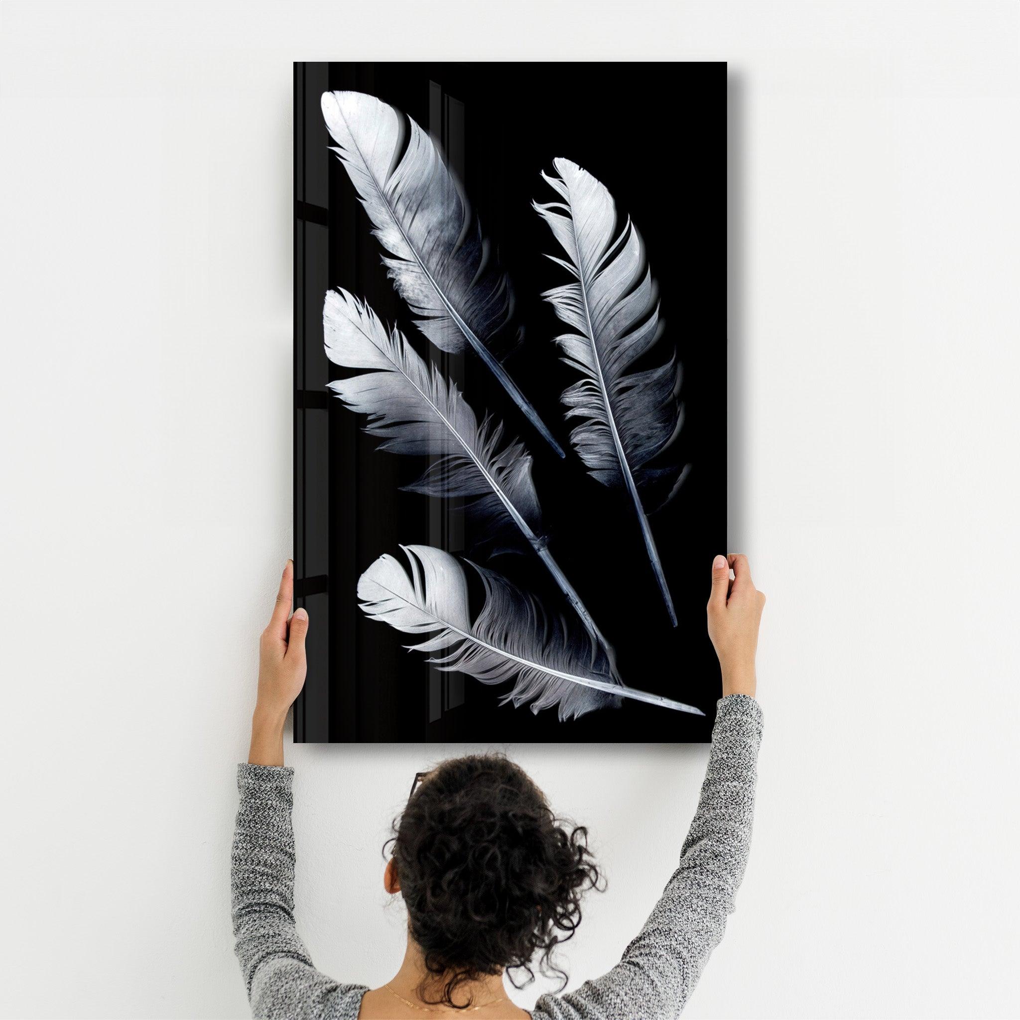 White Feathers | Glass Wall Art - Artdesigna