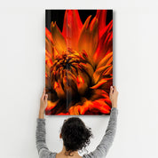 Orange Daisy | Glass Wall Art - Artdesigna