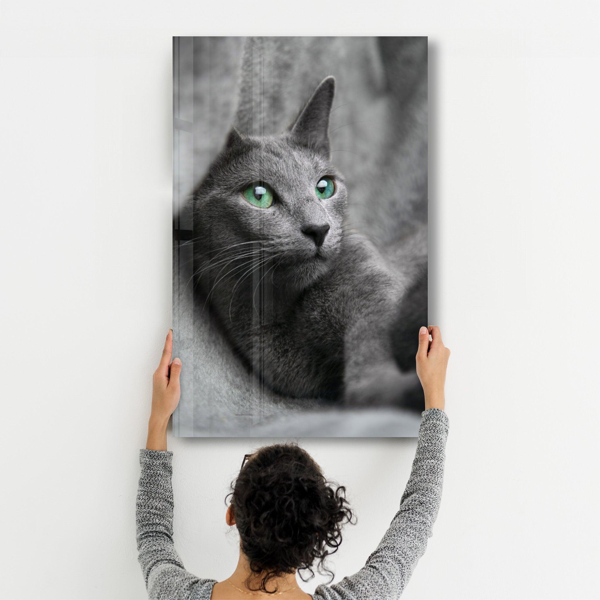 Cat 2 | Glass Wall Art - Artdesigna