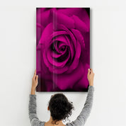 Rose | Glass Wall Art - Artdesigna