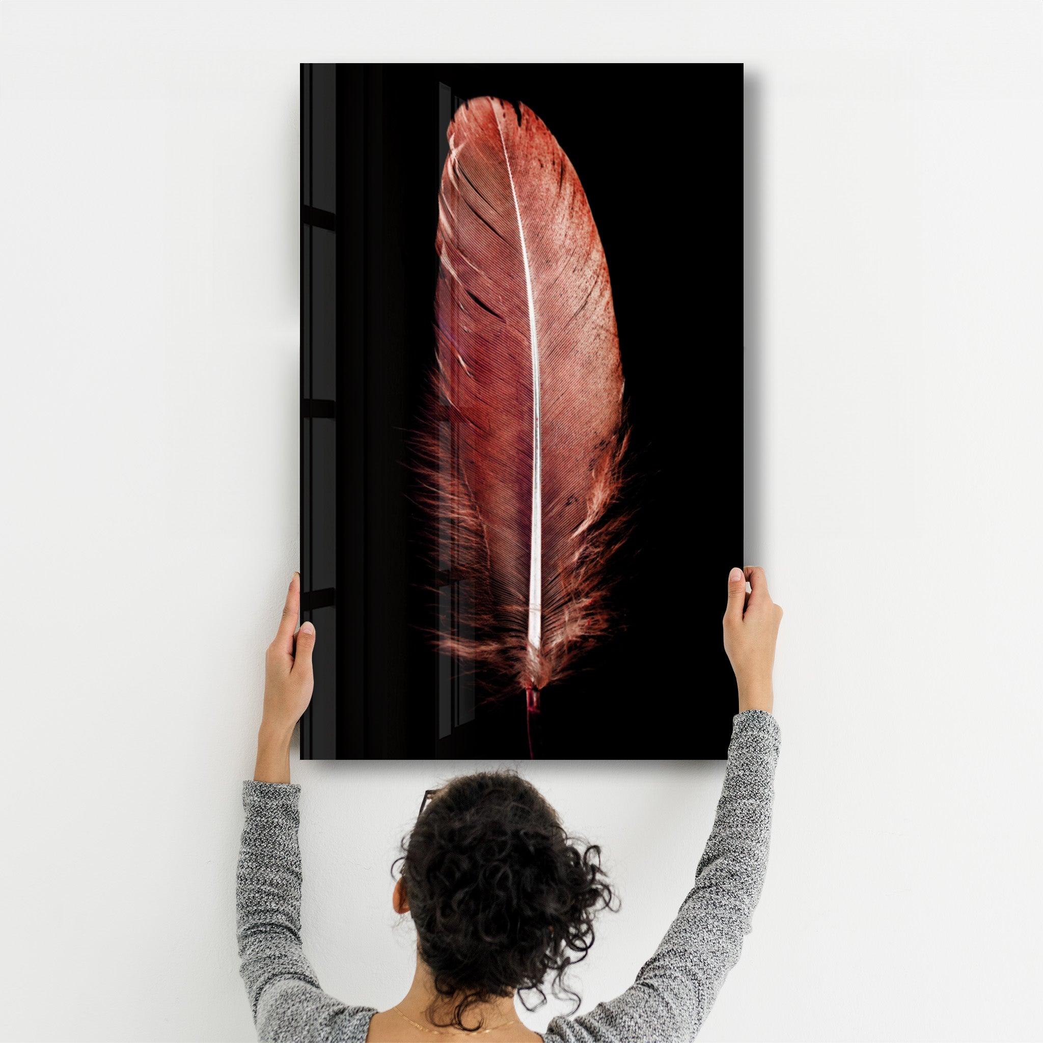 Colorful Feather V2 | Glass Wall Art - Artdesigna