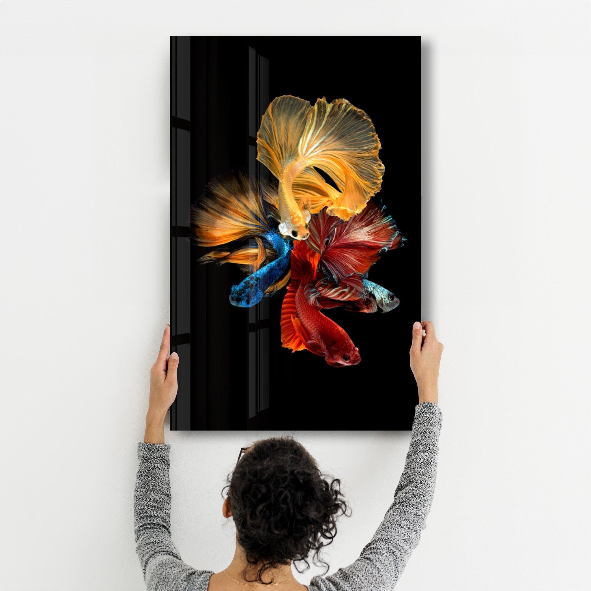 Betta Fish V2 | Glass Wall Art - Artdesigna