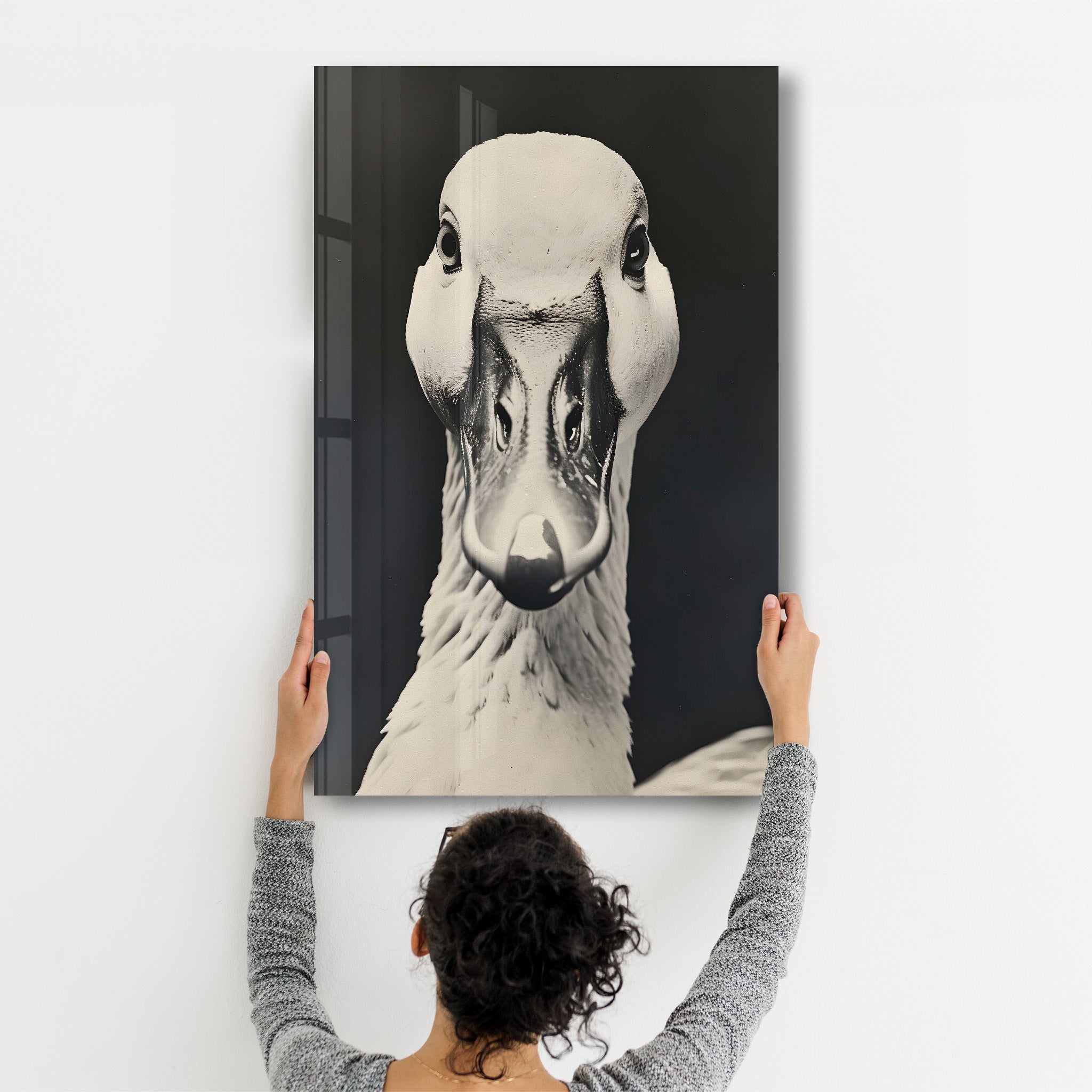 What are you looking at? - Glass Wall Art - Artdesigna