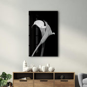 Arum Lily | Glass Wall Art - Artdesigna