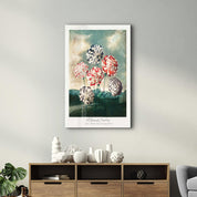 Robert John Thornton - A Group of Carnation | Gallery Print Collection Glass Wall Art - Artdesigna