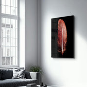 Colorful Feather V2 | Glass Wall Art - Artdesigna