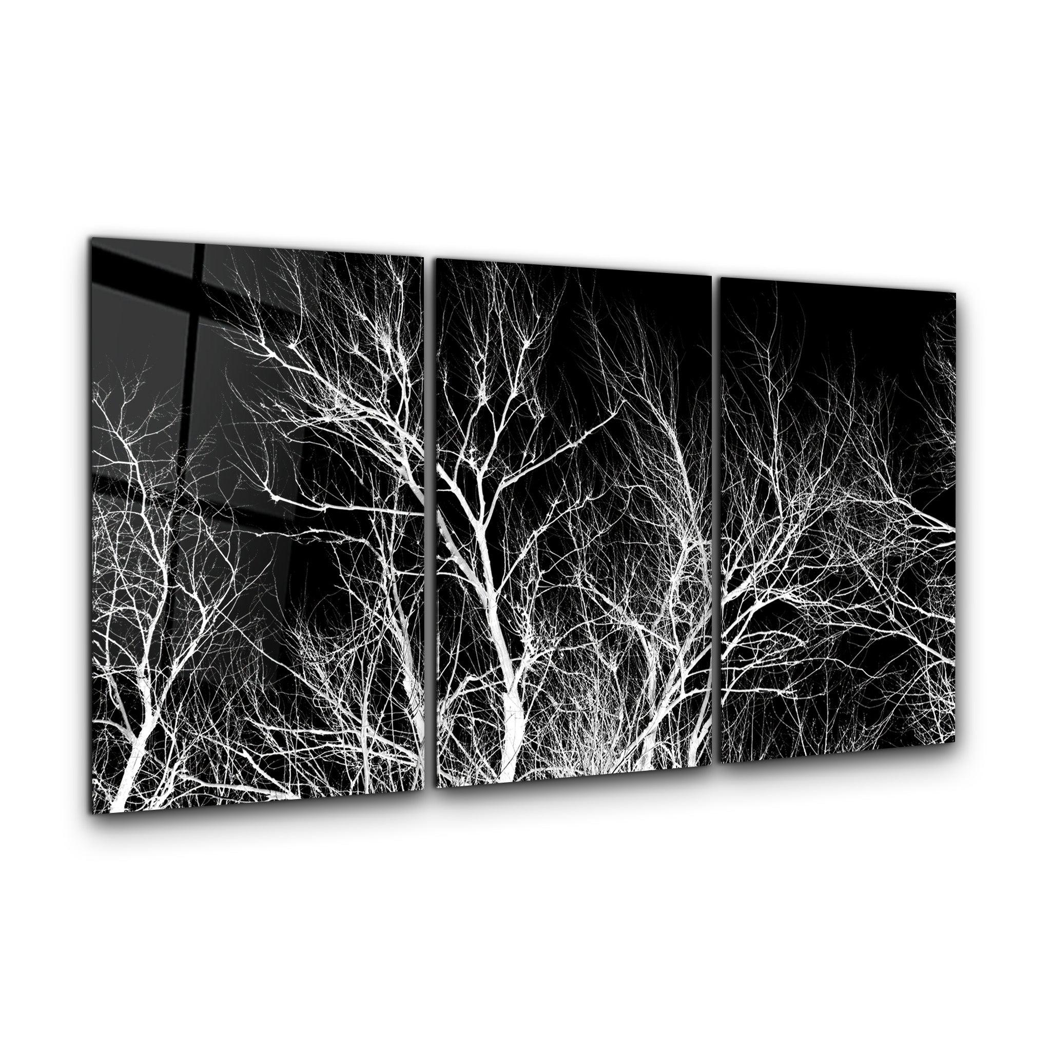 ・"Dried Branches Black and White - Trio"・Glass Wall Art - ArtDesigna Glass Printing Wall Art