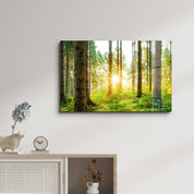 The Forest | Glass Wall Art