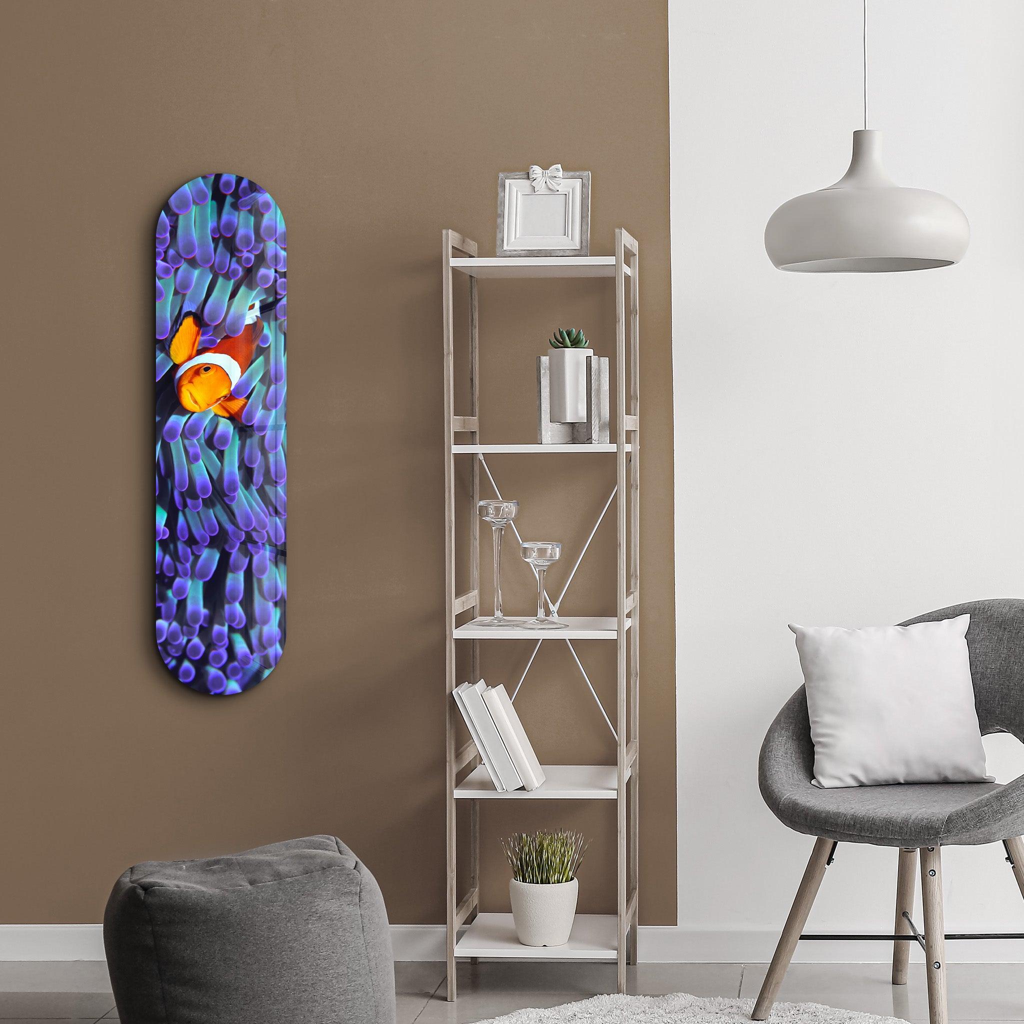 Clown Fish | Glass Wall Art - Artdesigna