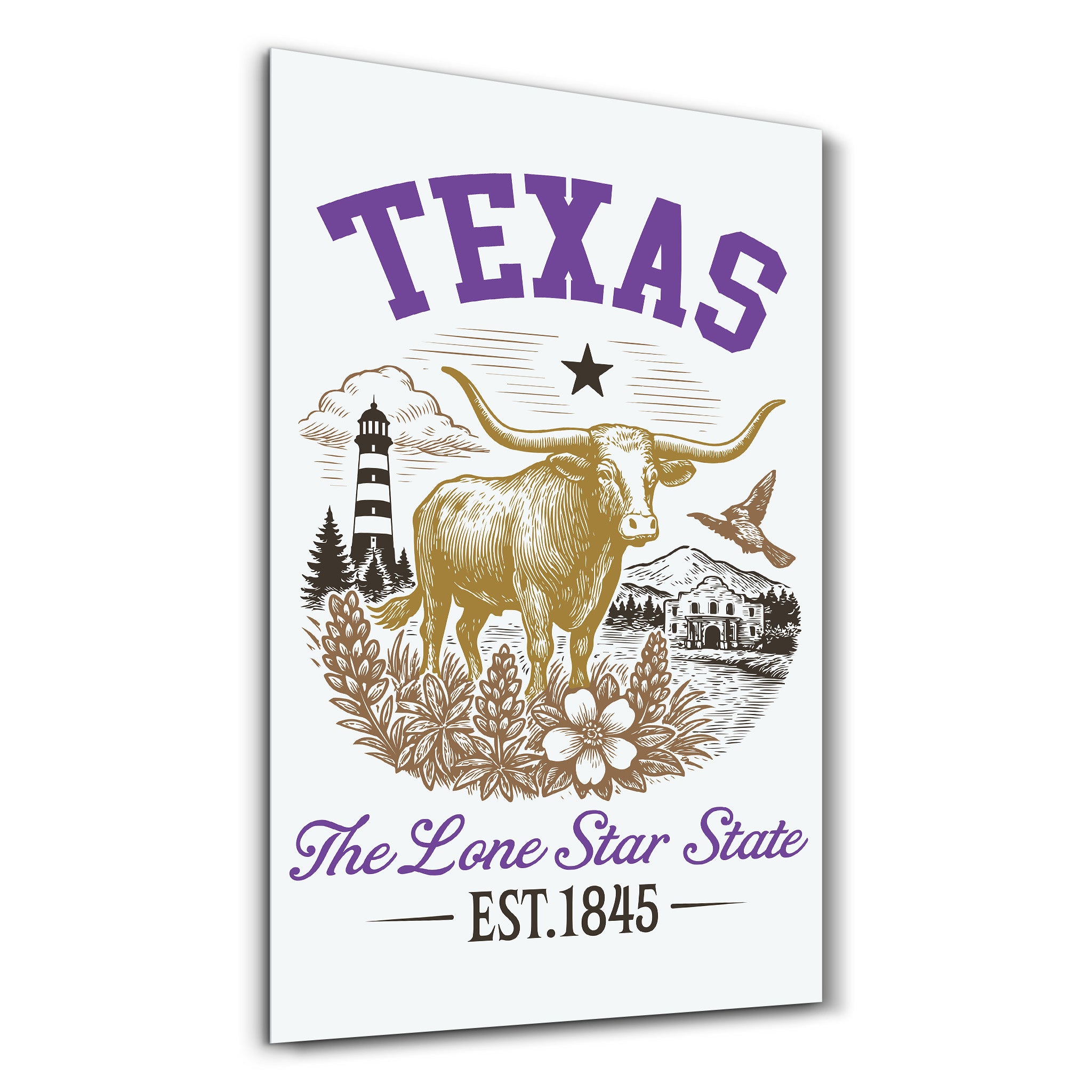 Texas - The Lone Star State | Glass Wall Art