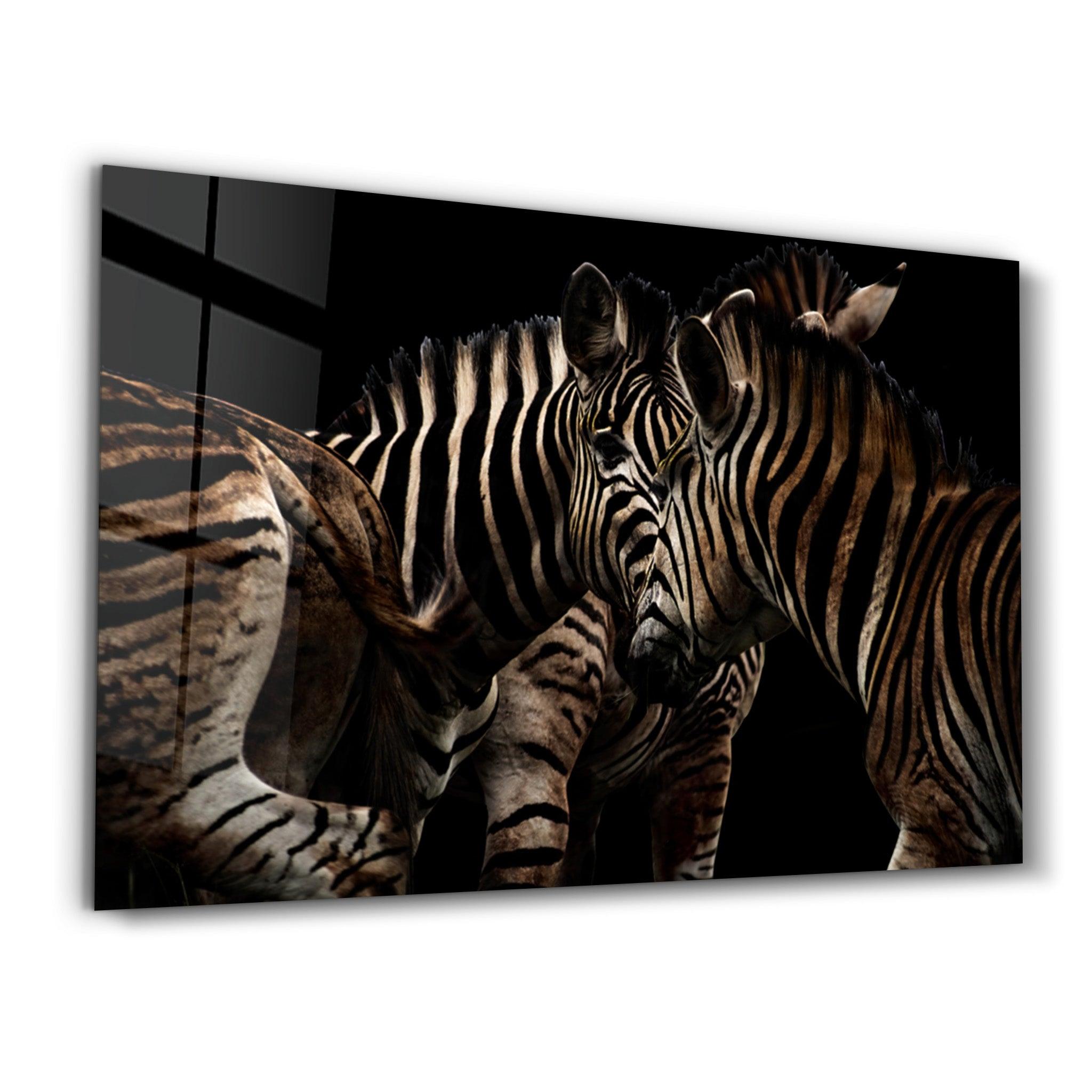 Zebra Family | Glass Wall Art - Artdesigna