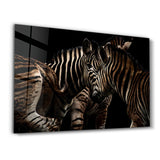 Zebra Family | Glass Wall Art