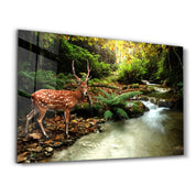 A Beauty In Nature | Glass Wall Art - Artdesigna