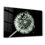 Falling Apart | Glass Wall Art