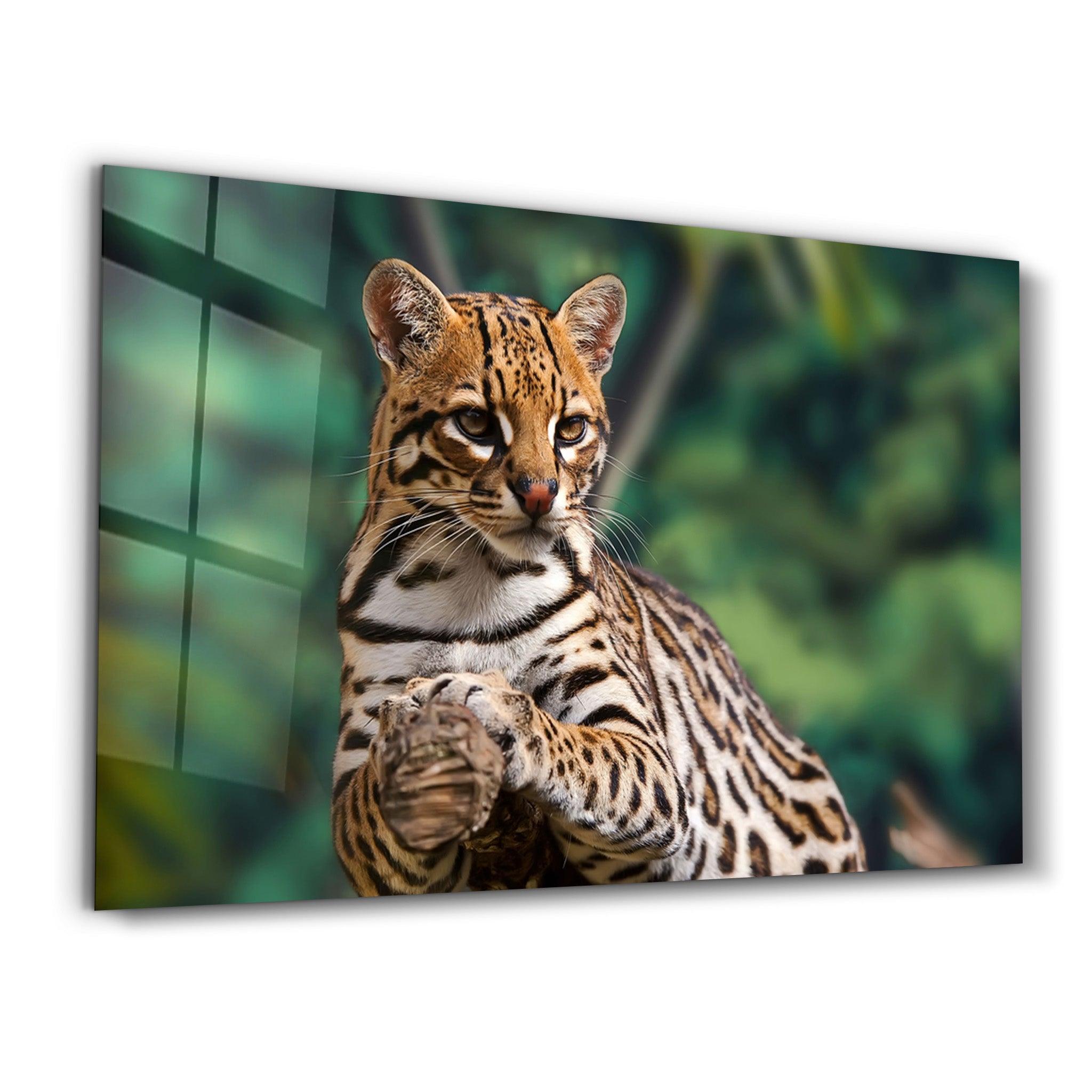 Just Chillin | Glass Wall Art - Artdesigna