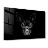 The French Bulldog | Glass Wall Art