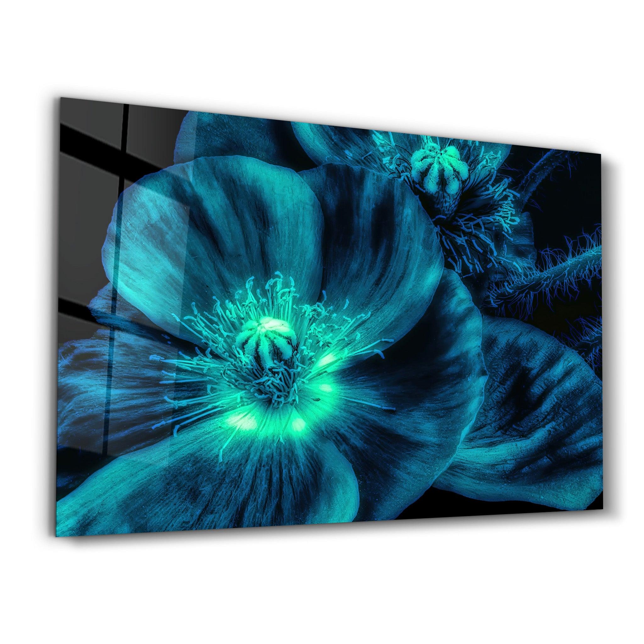 Morning Glory | Glass Wall Art - Artdesigna