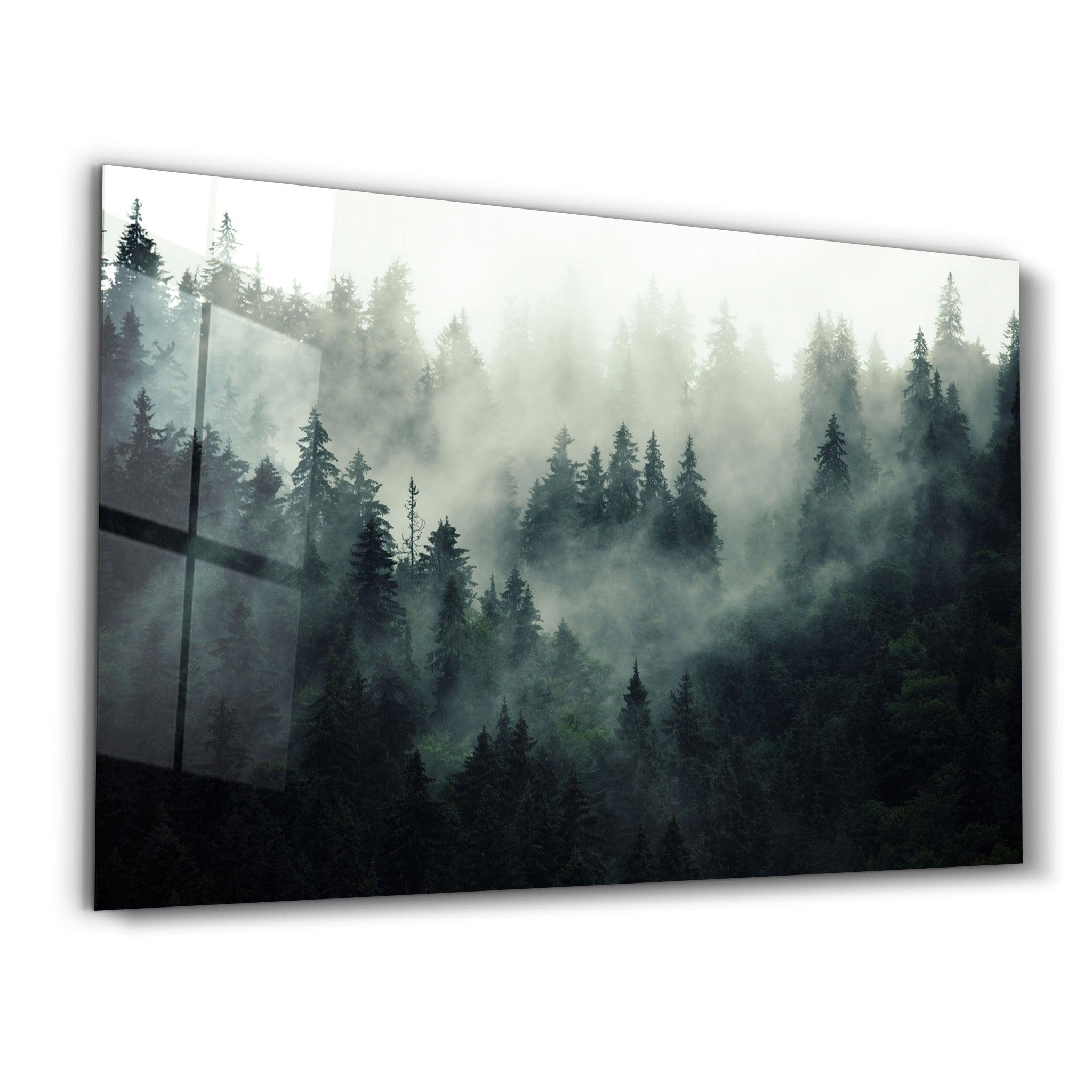 Black Forest | Glass Wall Art - Artdesigna