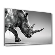 Black Rhinoceros | Glass Wall Art - Artdesigna