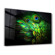 Peacock Feather | Glass Wall Art - Artdesigna