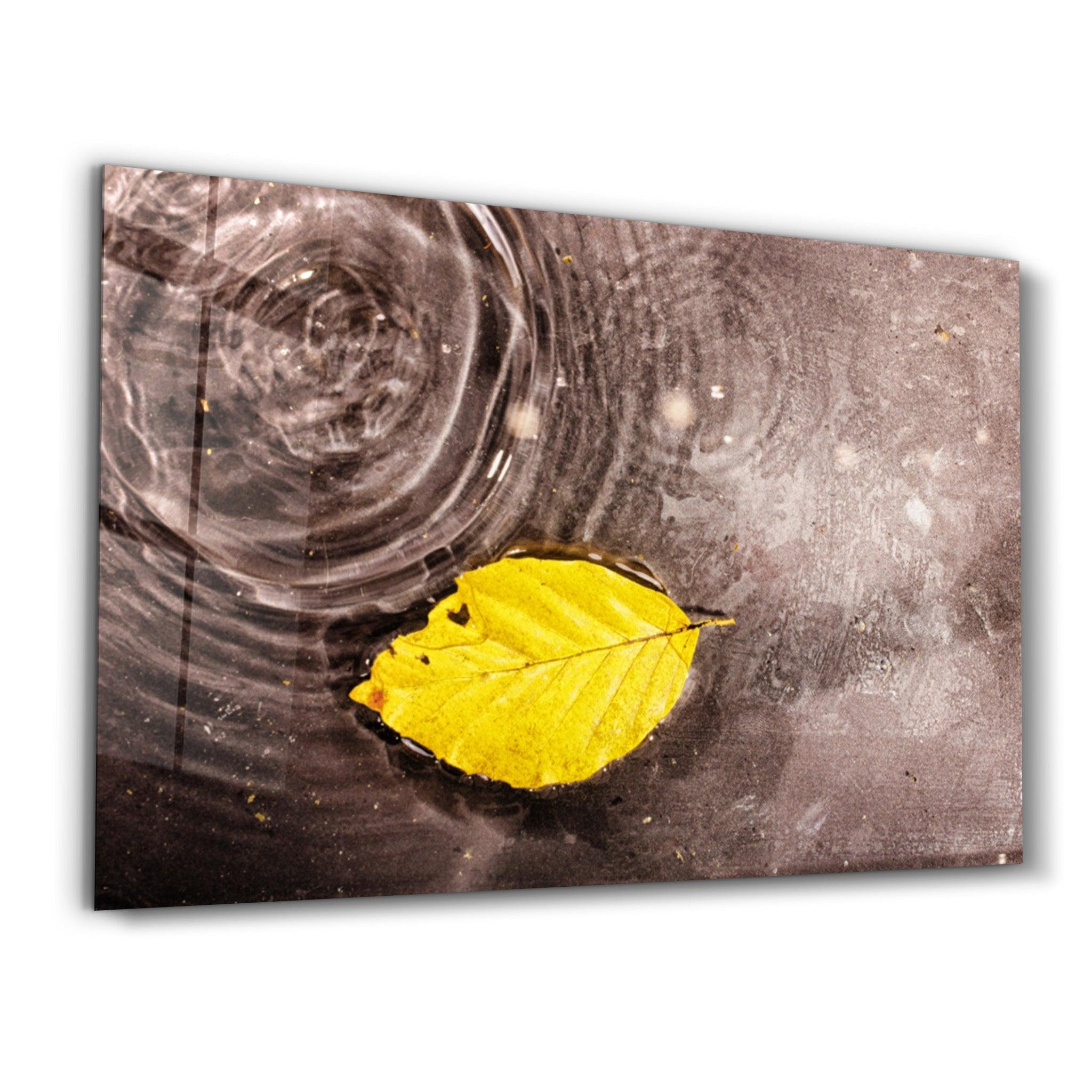 Ripples of Autumn | Glass Wall Art - Artdesigna