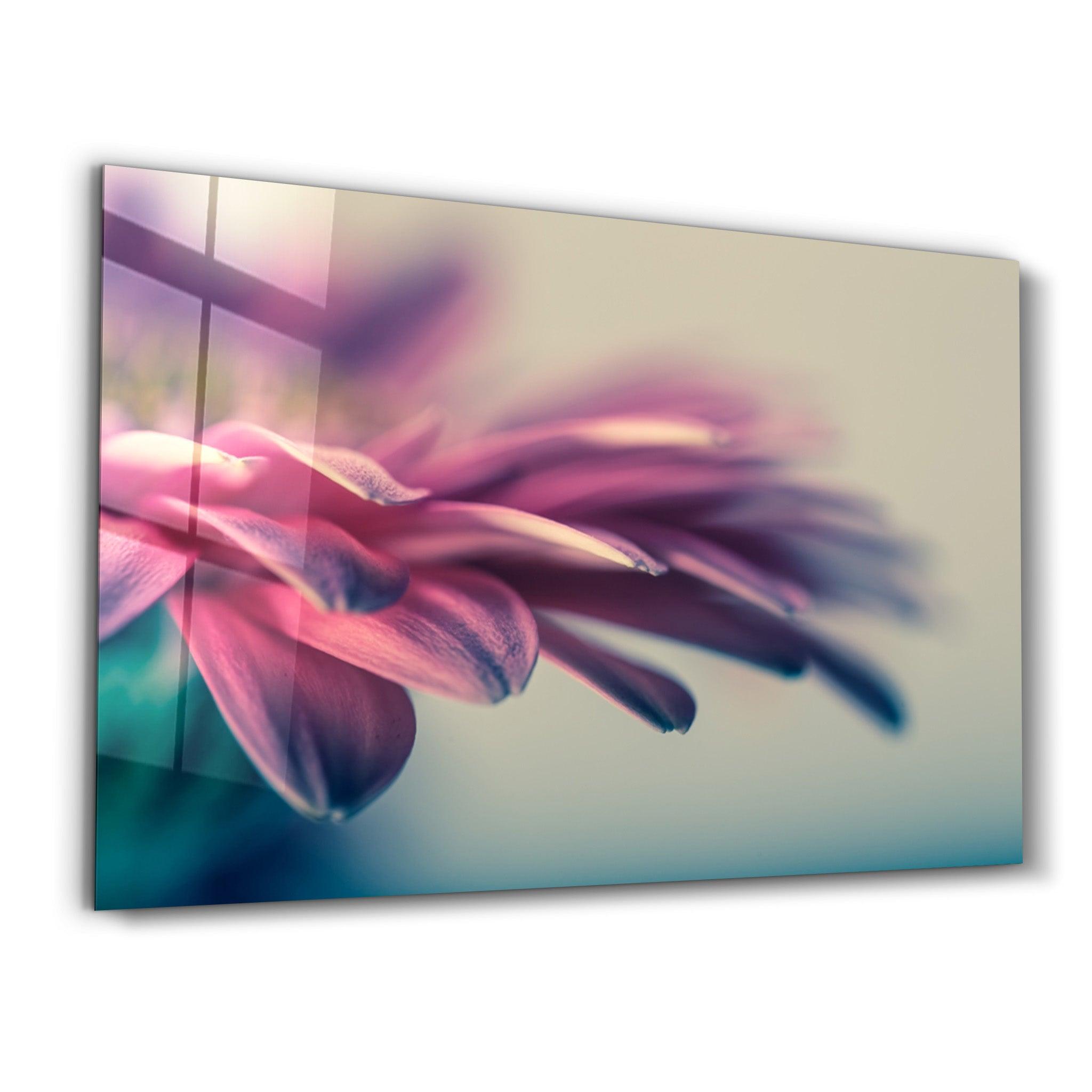 Blossom Serenity | Glass Wall Art - Artdesigna