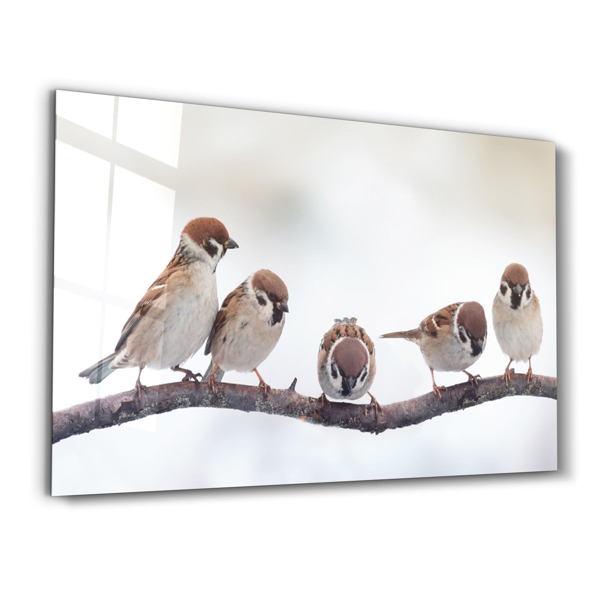 Birds | Glass Wall Art - Artdesigna