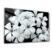 Timeless Bloom | Glass Wall Art - Artdesigna