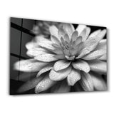 Silent Elegance | Glass Wall Art