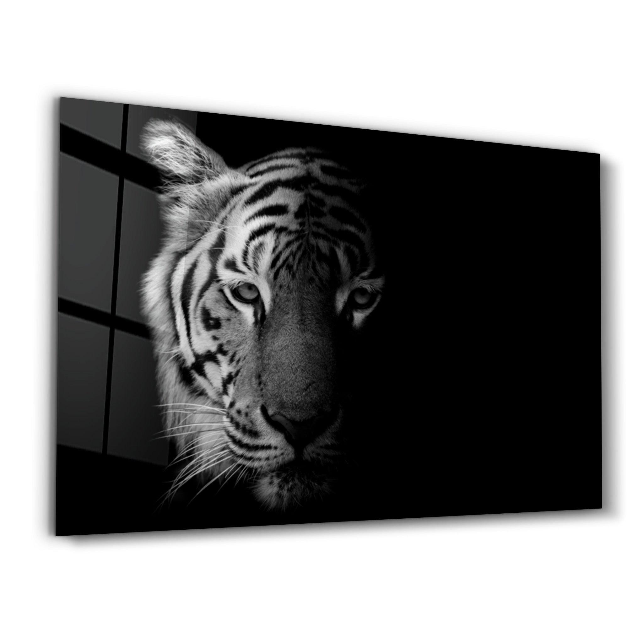 Tiger 1 | Glass Wall Art - Artdesigna