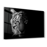 Tiger 1 | Glass Wall Art