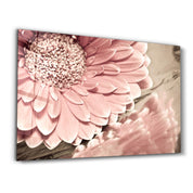 Petal Reflection | Glass Wall Art - Artdesigna