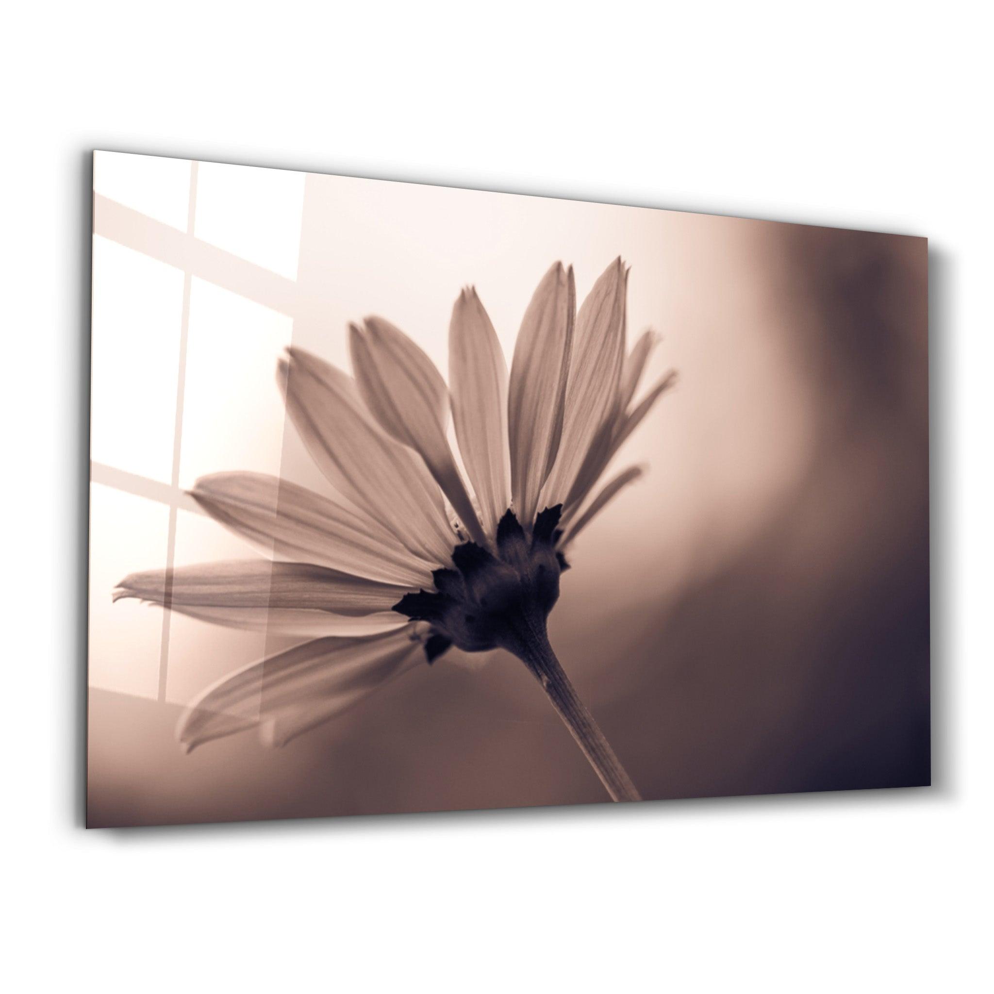 Whispers of Light | Glass Wall Art - Artdesigna