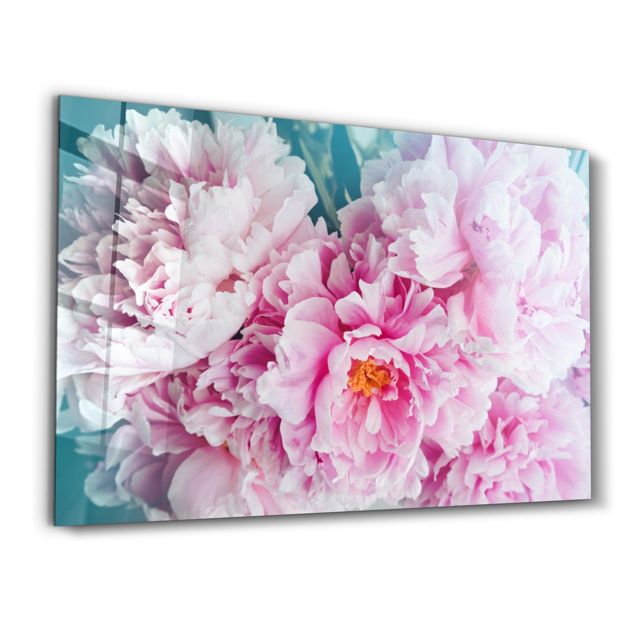 Blushing Peonies | Glass Wall Art - Artdesigna