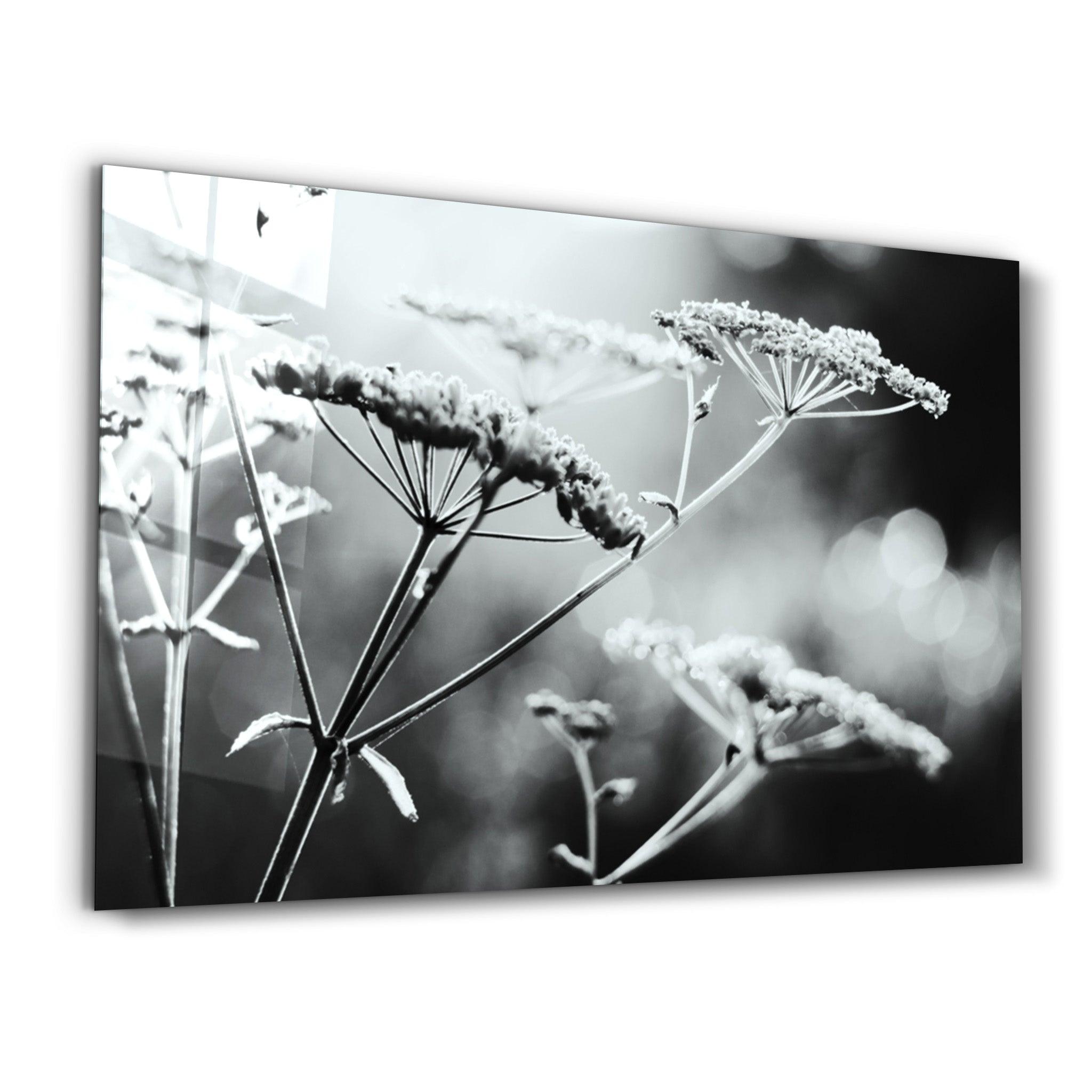 Whispers of the Field | Glass Wall Art - Artdesigna