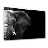 Elephant | Glass Wall Art