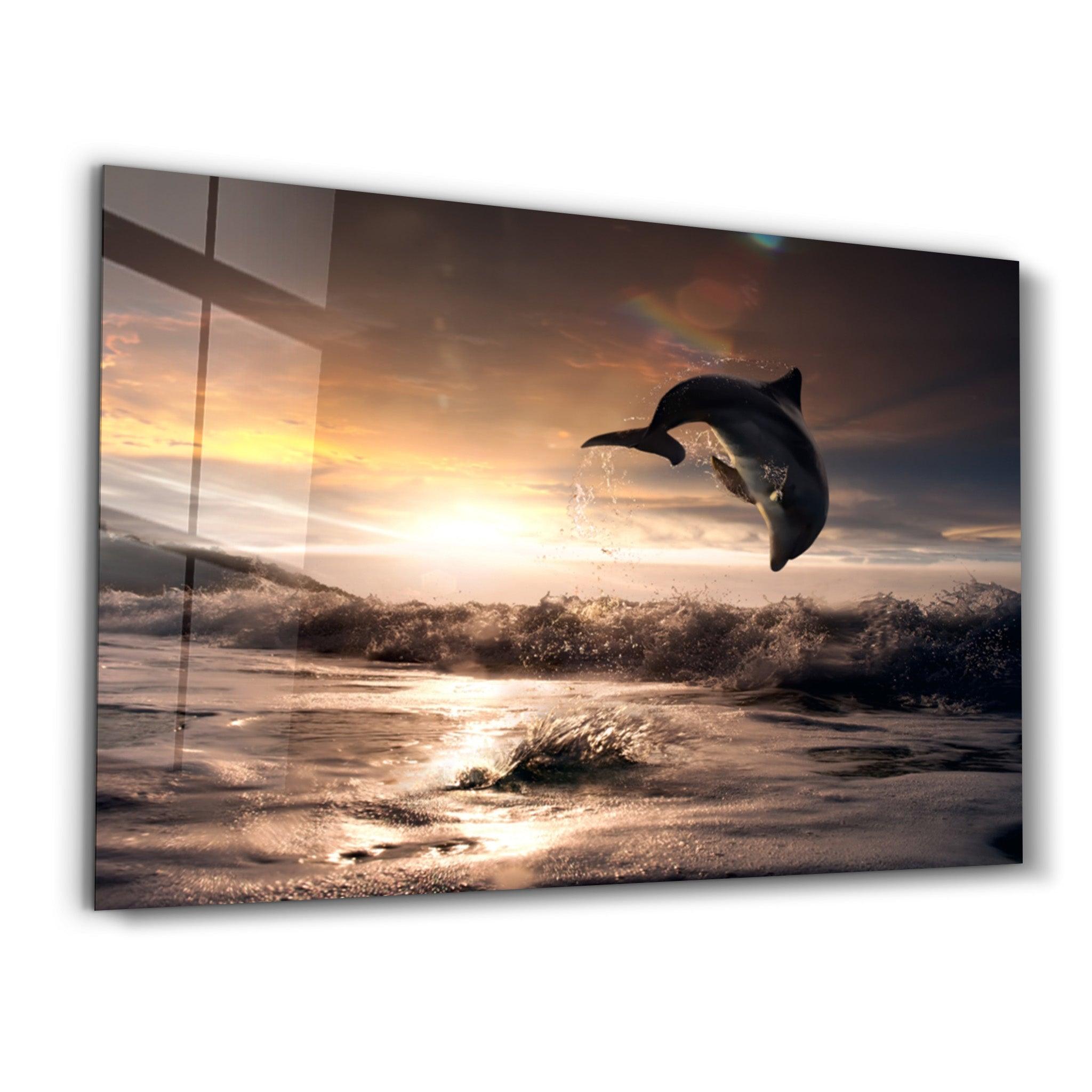 Dolphin | Glass Wall Art - Artdesigna