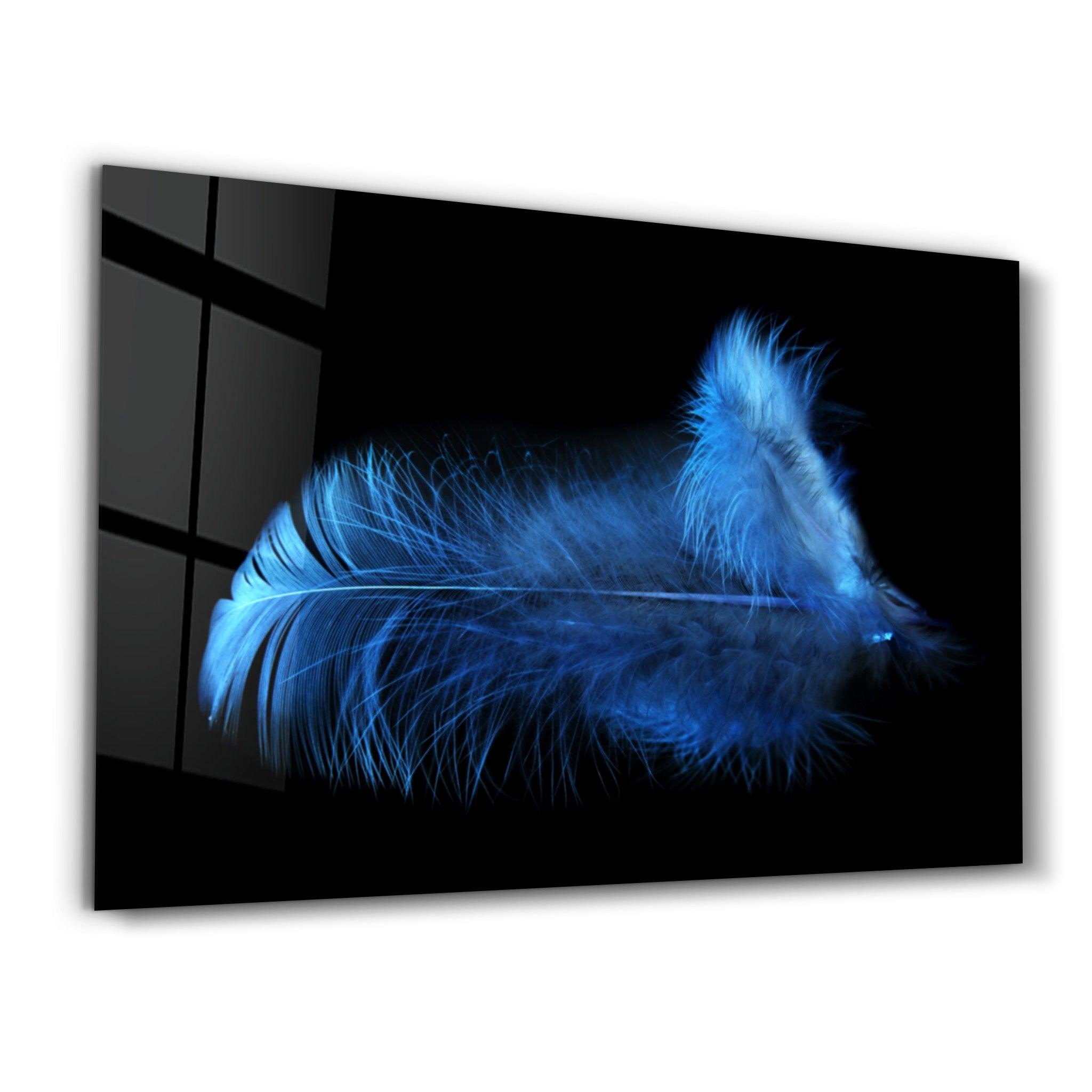 Blue Feather | Glass Wall Art - Artdesigna