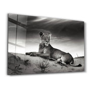 Lioness | Glass Wall Art - Artdesigna