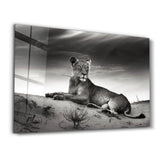 Lioness | Glass Wall Art